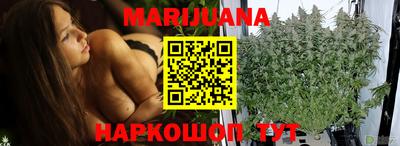 скорость Новозыбков