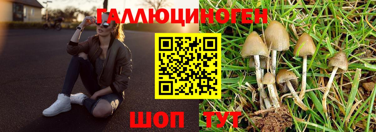 Псилоцибиновые грибы Cubensis  Псилоцибиновые грибы Psilocybine cubensis  Солнечногорск  Вход с VPN 