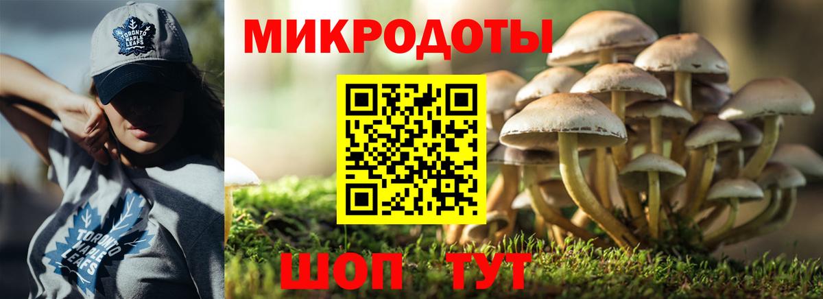 Псилоцибиновые грибы мухоморы Солнечногорск